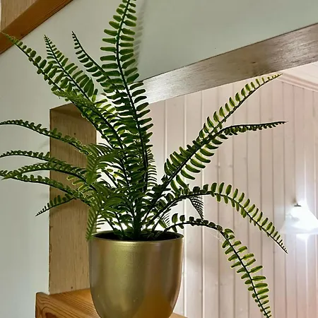 Renthouse Guest Adeele * Paide