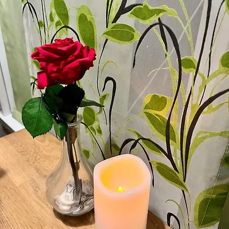 Renthouse Guest Adeele Korter