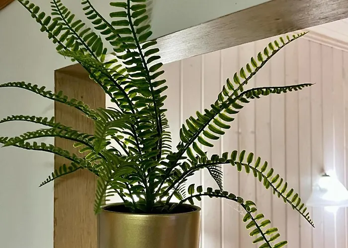 Renthouse Guest Adeele * Paide